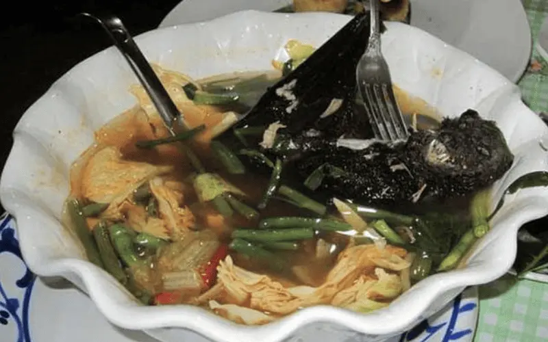 Sopa de morcego Sopa de morcego
