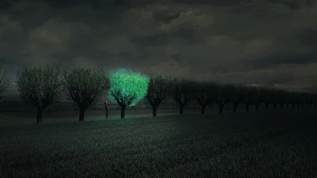 A ciencia por tras das plantas que brilham